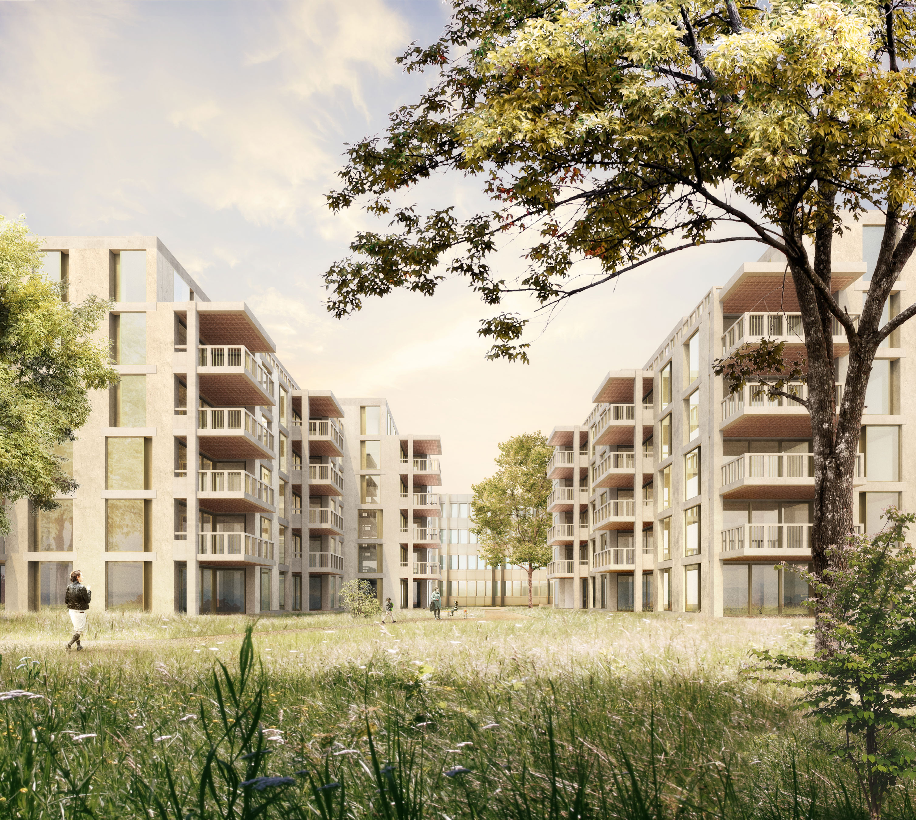 Boltshauser Architekten Wettbewerbsgewinn Wohnüberbauung Freilagerstrasse Zürich