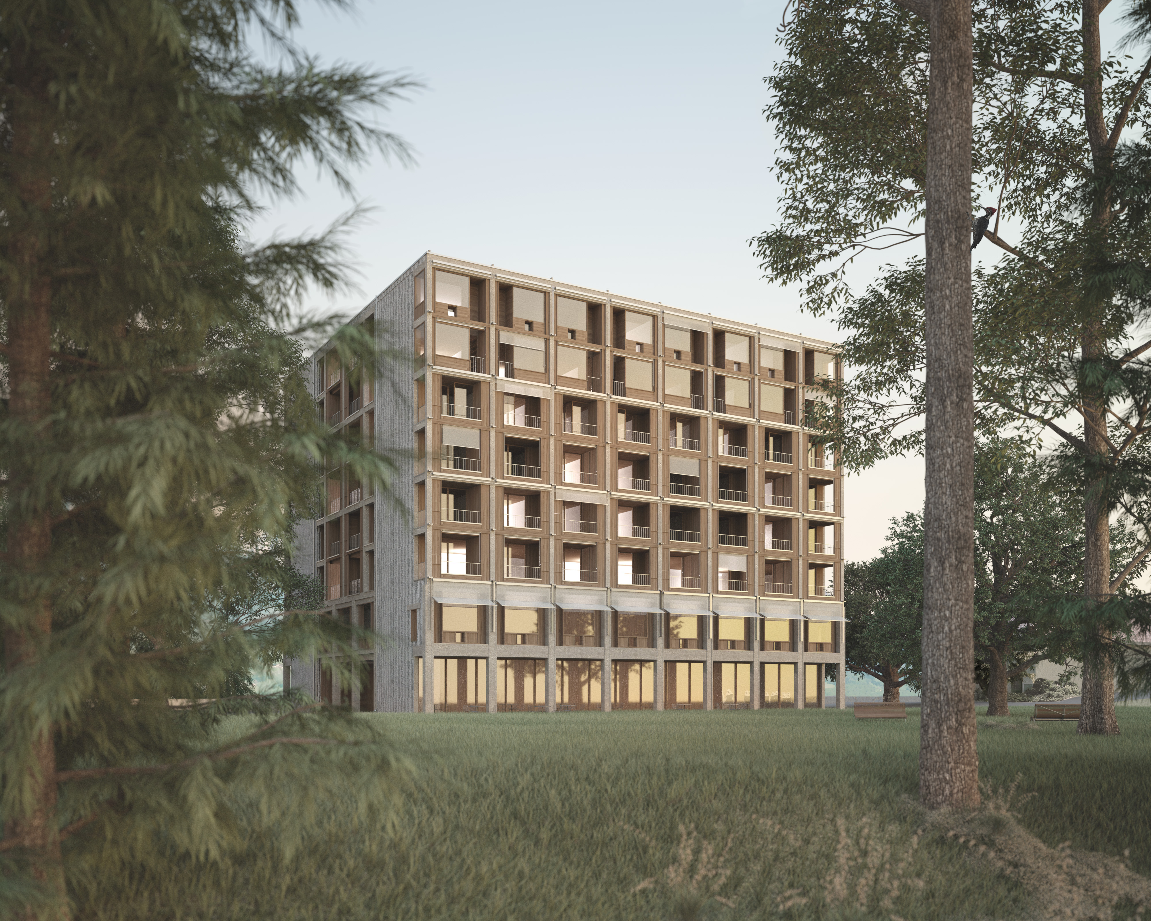 Boltshauser Architekten Wettbewerbsgewinn Alterszentrum Kloster Brunnen