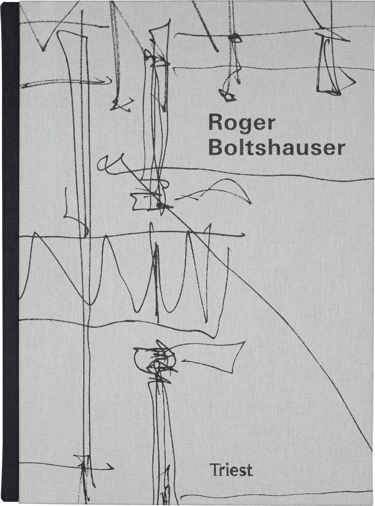 Boltshauser Architekten Triest Verlag Bueromonografie
