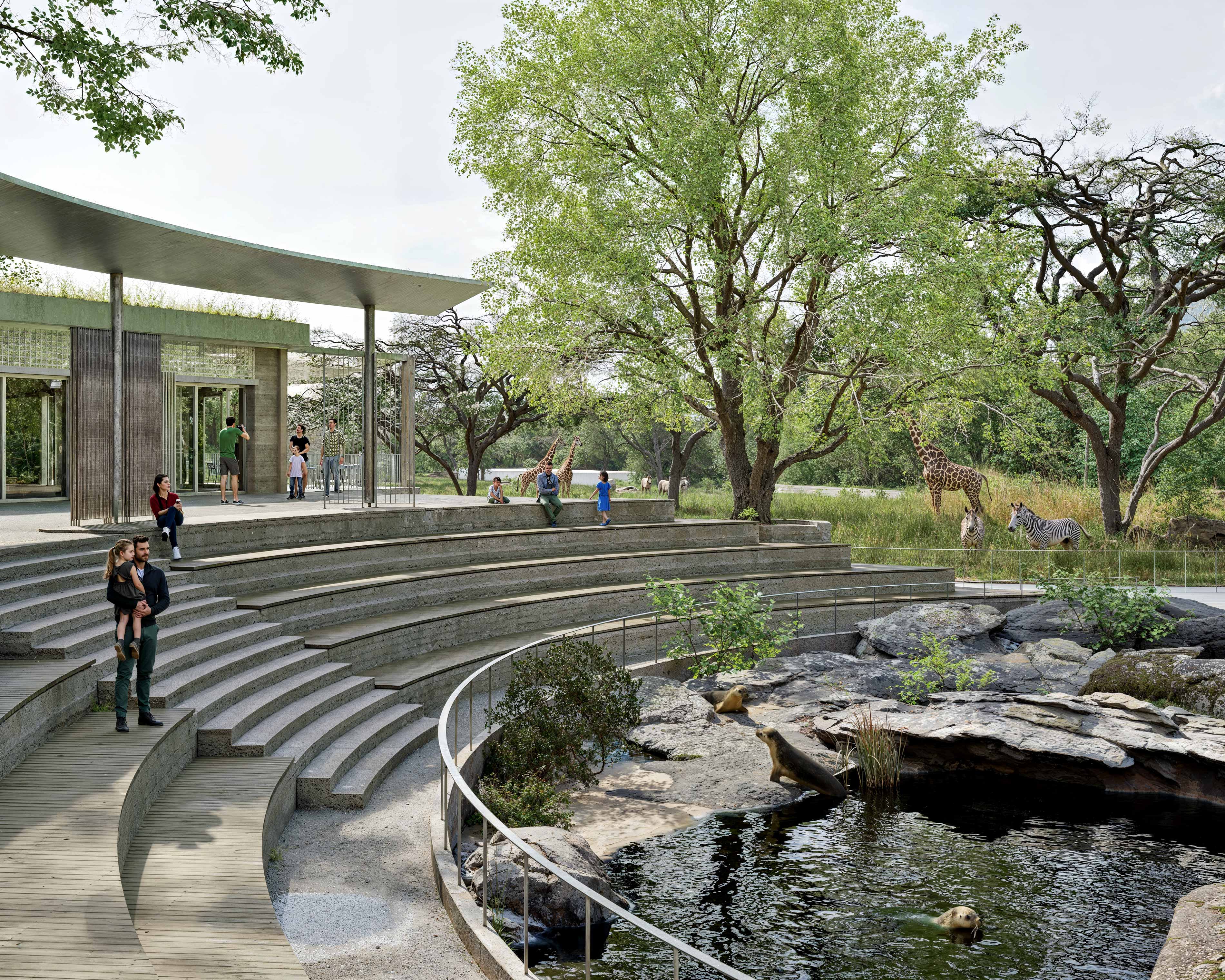 Boltshauser-Architekten-Zoo-Basel-Visualisierung-Seelöwen-Becken